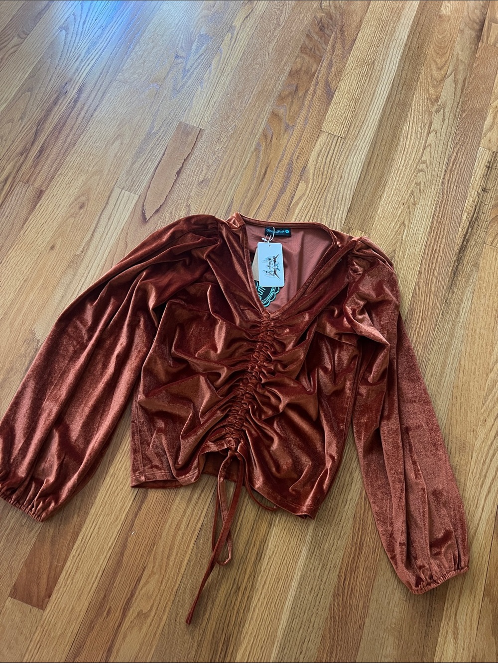 Ruched Velvet Crop Top in Rust — Women's Long Sleeve